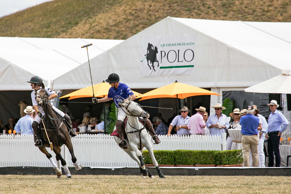 polo-1