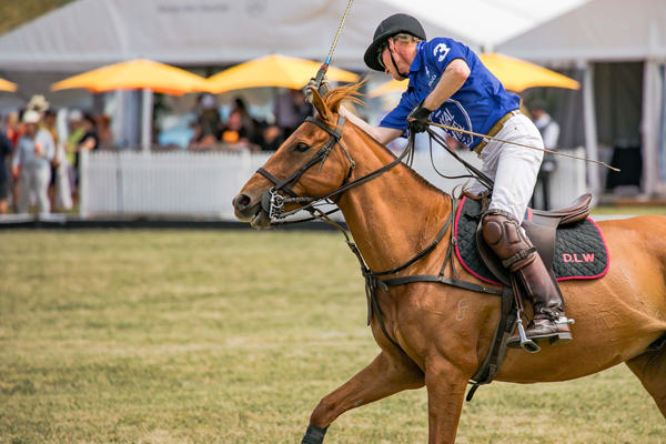 polo-4